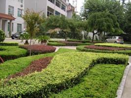 濰坊麗景園林 2009年園林綠化工程的實(shí)踐與傳承