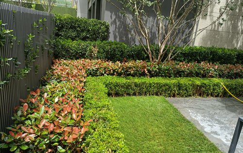 春暖花開(kāi)，園藏萬(wàn)象——融創(chuàng)時(shí)代奧城園林綠化景觀深度解讀
